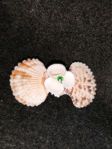 Real(Original) Seashell Hair Clip with Green Gem