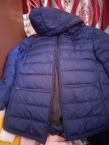 unisex Navy Blue Padded Jacket