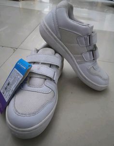 Lotto Velcro Running Shoes For Boys . New With Tag
