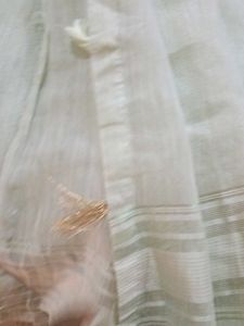 Embroidered saari