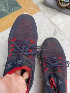 Sports Shoes