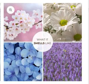 Solid Perfume - Blur India-Fresh Cut Flowers
