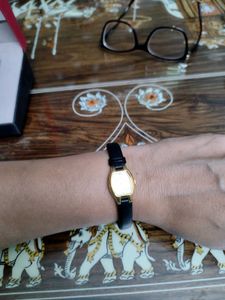 Titan Women's Watch