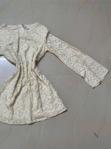 Elegant Lace Dress