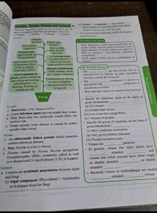 Neet Most Wanted Biology