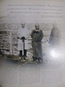 World War I by H.P. Willmott