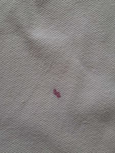 WOODLAND Pink  T-Shirt