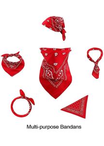 Red Paisley Bandana Scarf