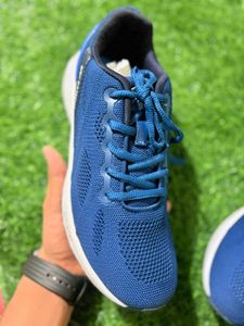 Campus Shoes Box