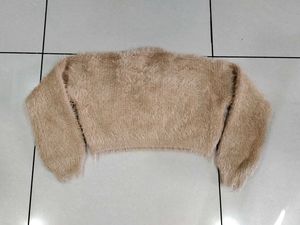 Fuzzy Knit Cropped Sweater