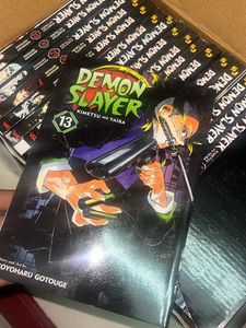 ✨❤️Manga Complete Box Set Demon Slayer