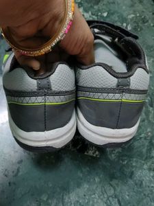Campus Grey &amp; Neon Sports Shoes