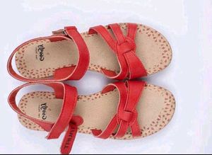 ayurvedic makeup kit + red  sandal
