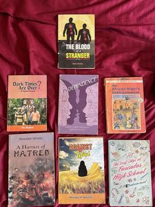 African Literature Combo
