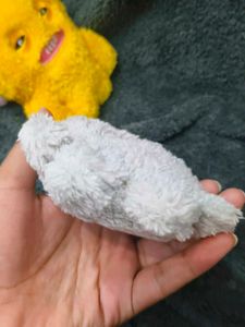Cute Fluffy Monster Plush Toy
