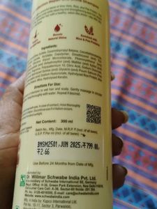 Boericke &amp; Tafel Repair &amp; Shine Shampoo