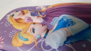 3D Princess. Premium Quality Pencil Box
