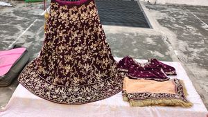 Elegant Embroidered Lehenga Choli Set