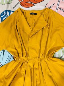 Mustard Yellow Fit and Flare Dress