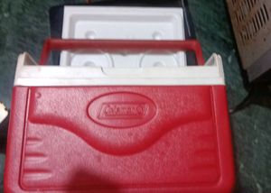 Portable Cooler Box