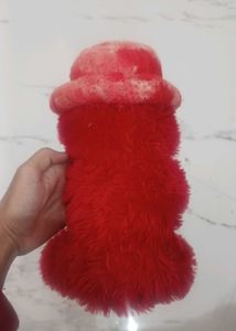 Red Teddy Bear with Heart
