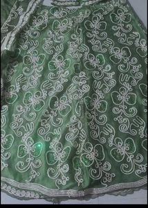 Designer Green Lehenga Choli Set