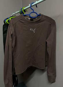 Puma Brown  Sweatshirt