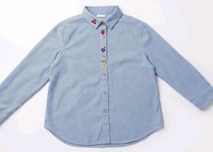 Blue Striped Fruit Embroidered Shirt