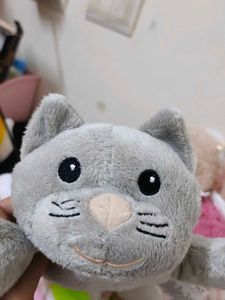 kawaii cat