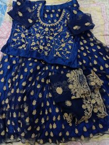 Stunning Blue & Gold Embroidered Lehenga Choli