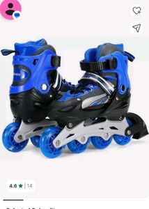 Blue Roller Skates