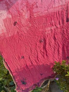 Beautiful Pink Embroidered Saree