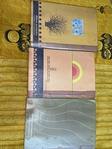 Set of 3 Hindi Textbooks for Class 10