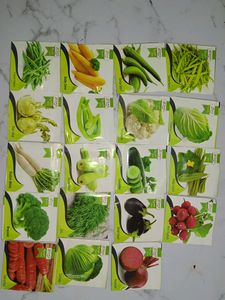 Seeds Of 15 Different Vegetables