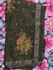 Elegant Embellished Saree