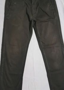 Arrow  Pant