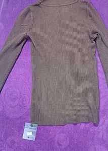 Brown Ribbed Turtleneck