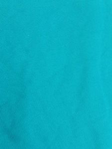 Men's Blue Polo T-Shirt