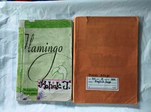 class 12 NCERT Textbooks