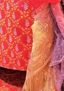 Embroidered Net Saree without blouse