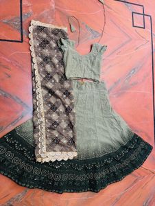 Elegant Lehenga Choli Set