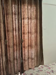 Combo of 3- Full Size Elegant Brownish Curtains