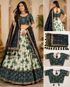 Beautiful Lehenga Choli Set