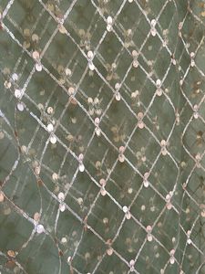 Embellished Olive Green Dupatta