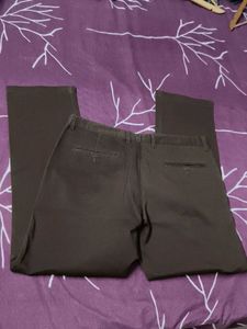 Walvis Men's Cotton Brown Pant