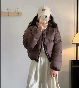Brown Puffer Jacket