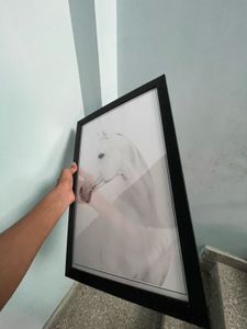 Luxury White Horse Wall Painting