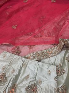Elegant Embroidered Lehenga Choli