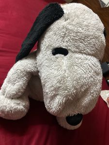 soft toy dog