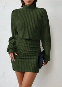 Chic Ribbed Turtleneck Mini Dress